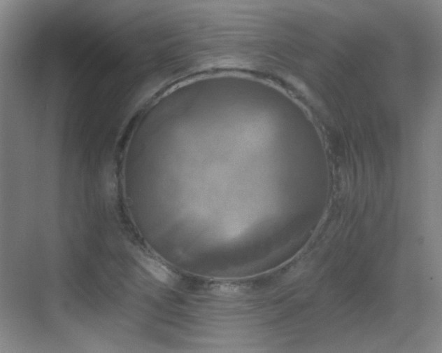 X0000069811266200605221155