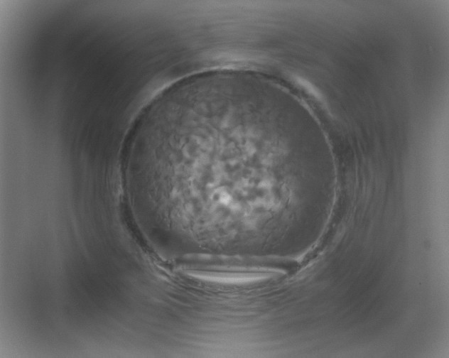 X0000069811267200605221155