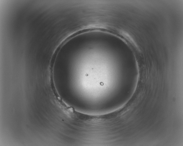 X0000069811268200605221155