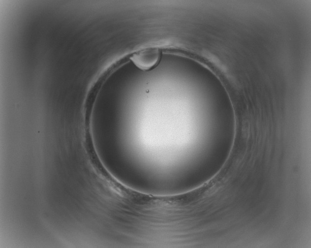 X0000069811270200605221155