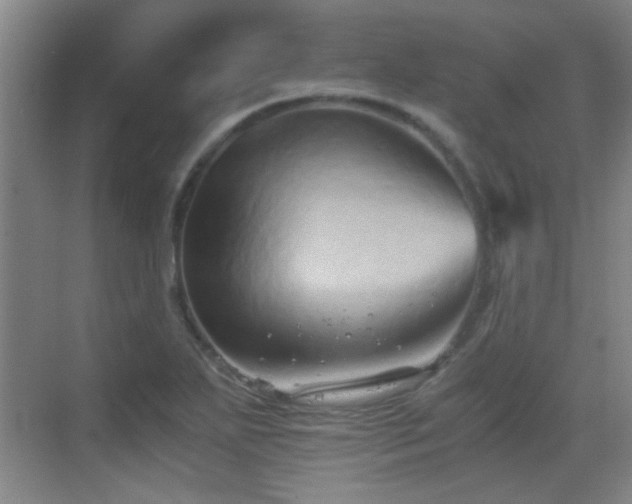 X0000069811271200605221155