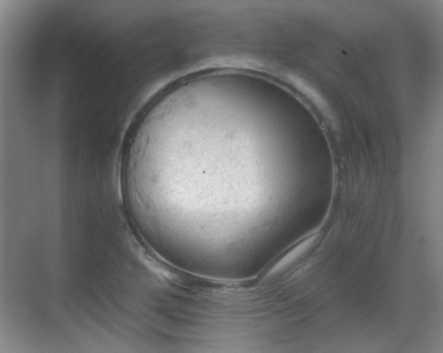 X0000069811272200605221155