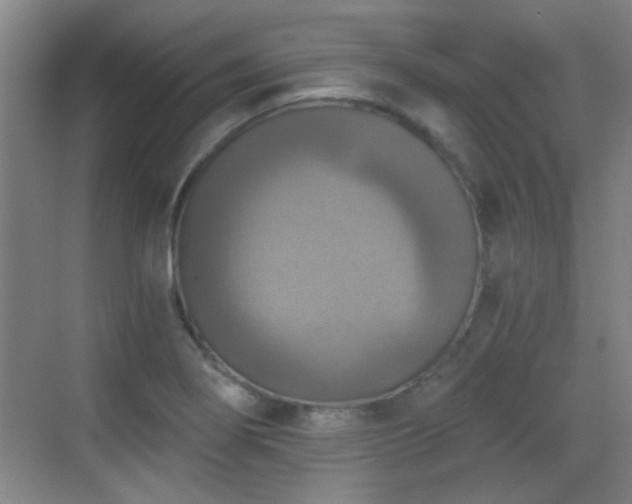 X0000069811274200605221155