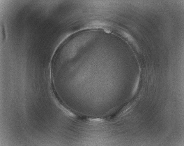 X0000069811275200605221155