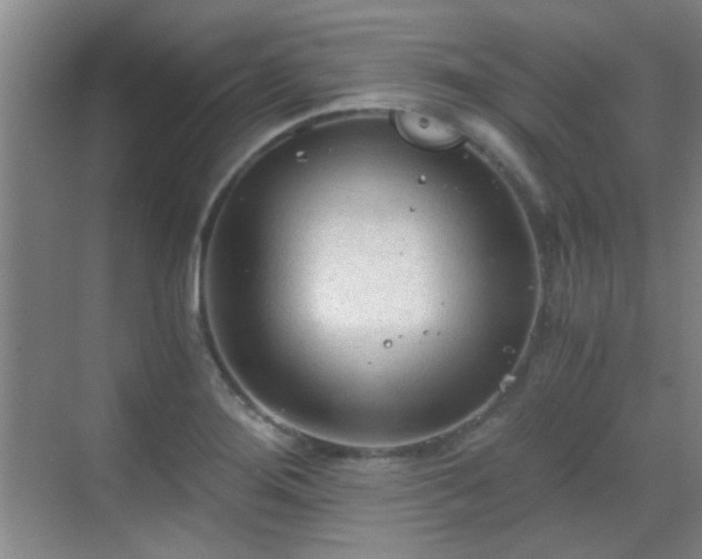 X0000069811276200605221155