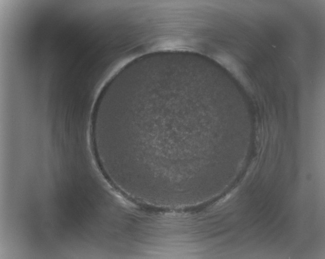 X0000069811277200605221155