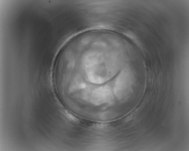 X0000069811278200605221155