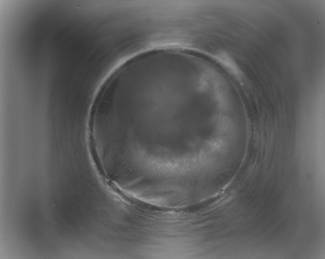 X0000069811279200605221155