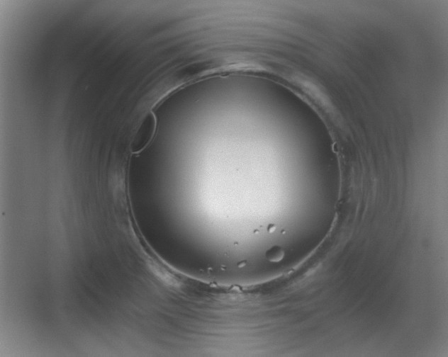 X0000069811281200605221154