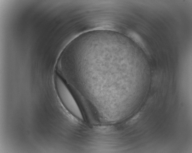 X0000069811284200605221154