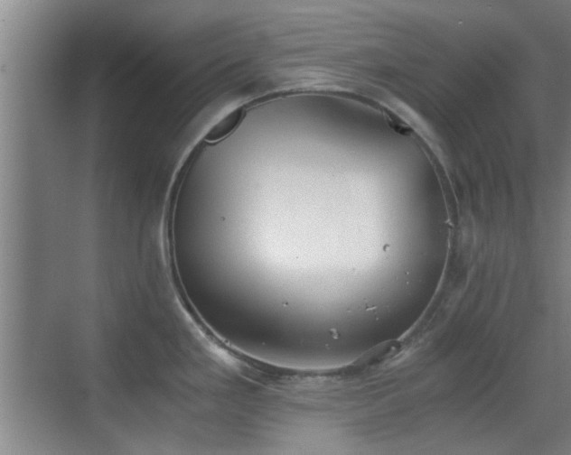 X0000069811293200605221154