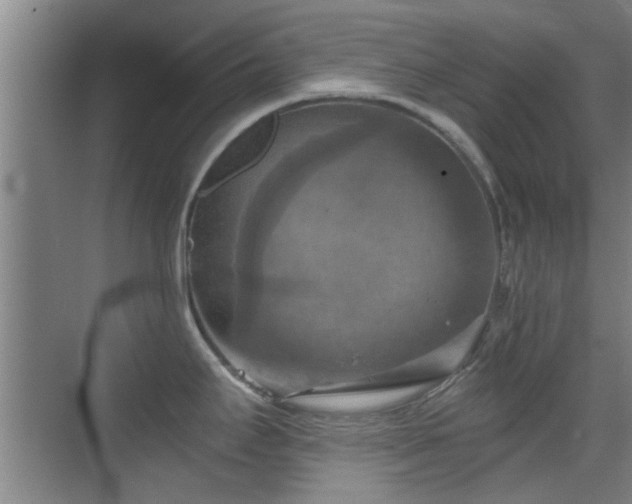 X0000069811295200605221154