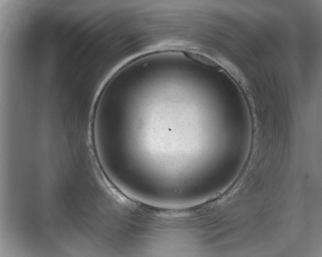 X0000069811296200605221154