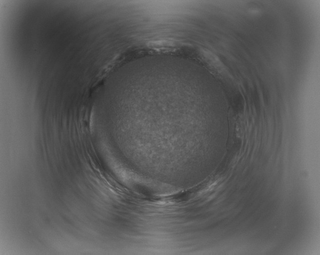 X0000069811298200605221153