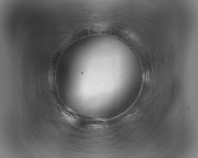 X0000069811299200605221153