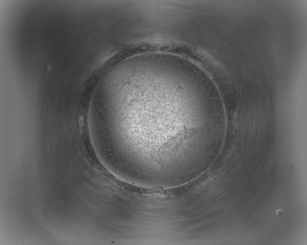 X0000069811302200605221154