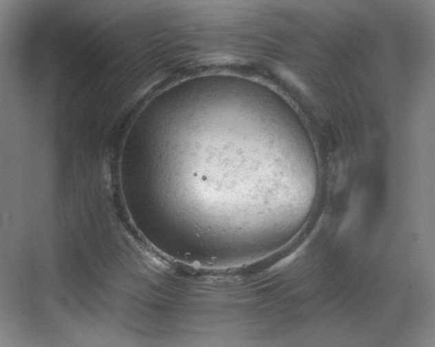 X0000069811305200605221154