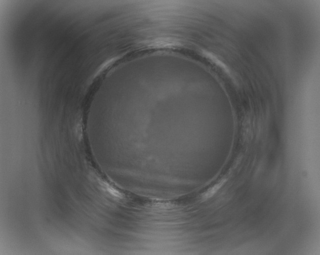 X0000069811306200605221154