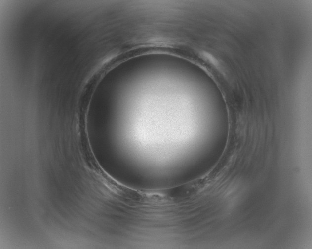 X0000069811307200605221154