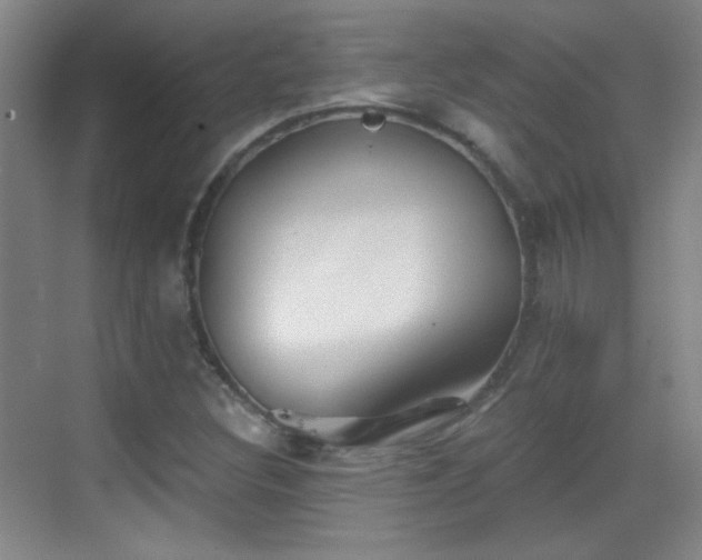 X0000069811308200605221154