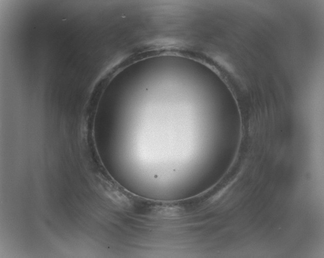 X0000069811309200605221154