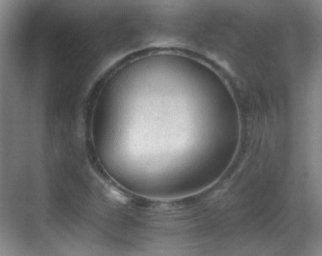 X0000069811311200605221154