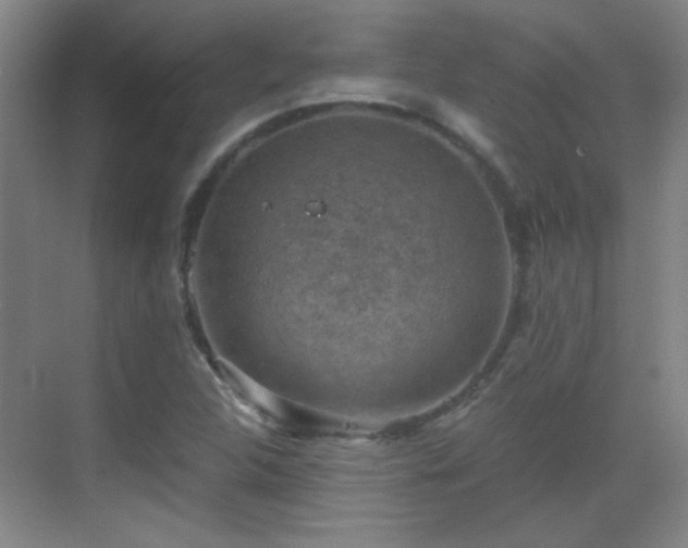 X0000069811312200605221154