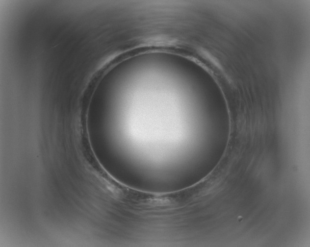 X0000069811315200605221154