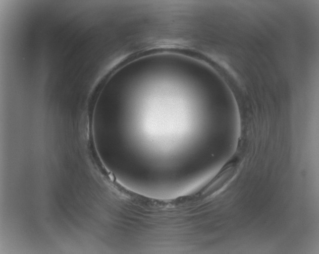 X0000069811317200605221154