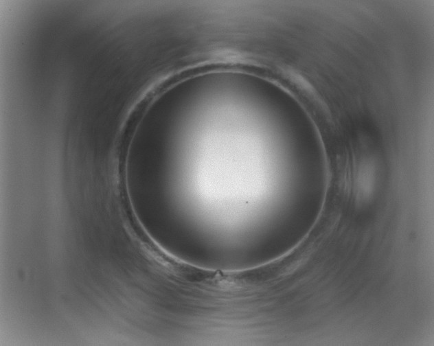 X0000069811318200605221154