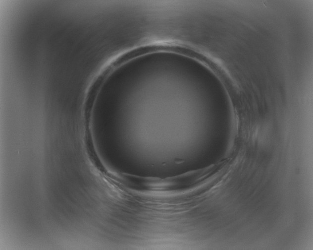 X0000069811319200605221154