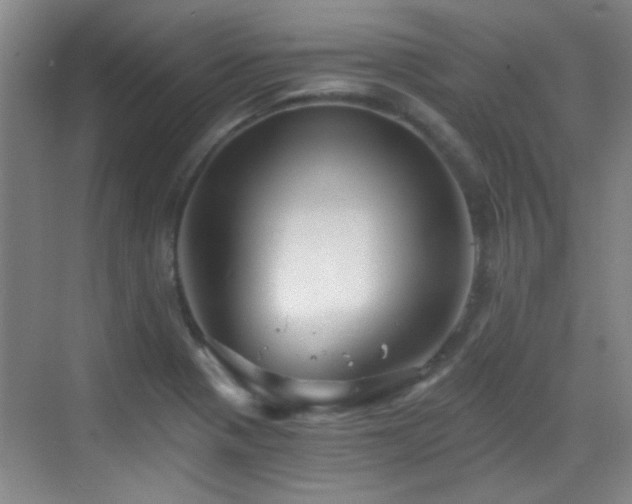 X0000069811321200605221154