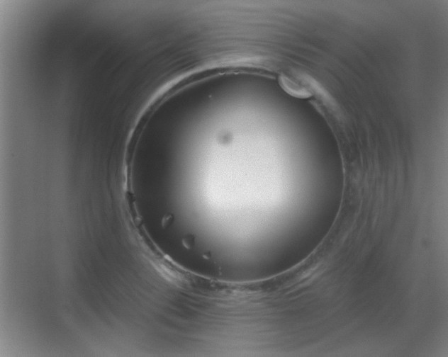 X0000069811324200605221154