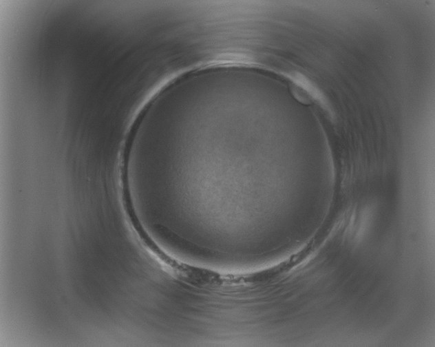 X0000069811325200605221154