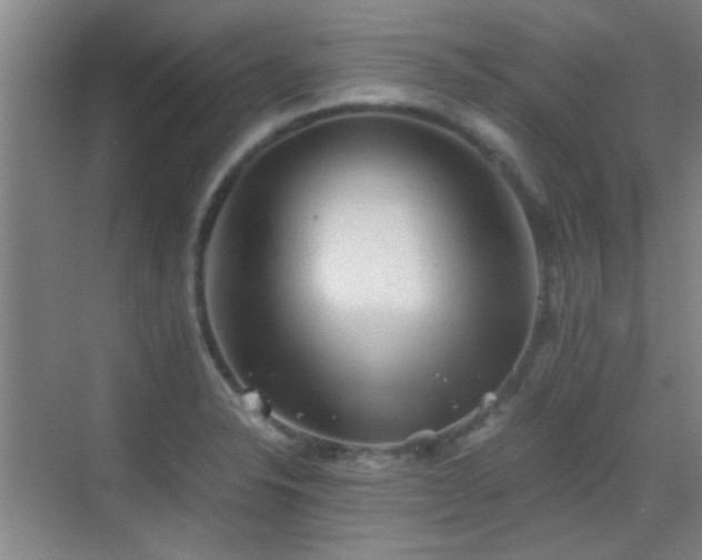 X0000069811326200605221154