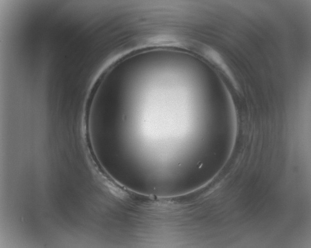 X0000069811328200605221154