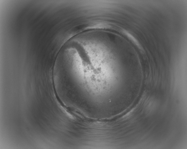 X0000069811329200605221154