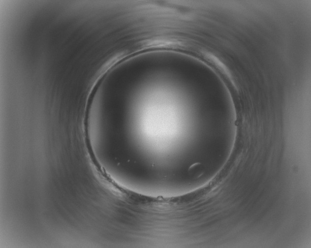 X0000069811330200605221154