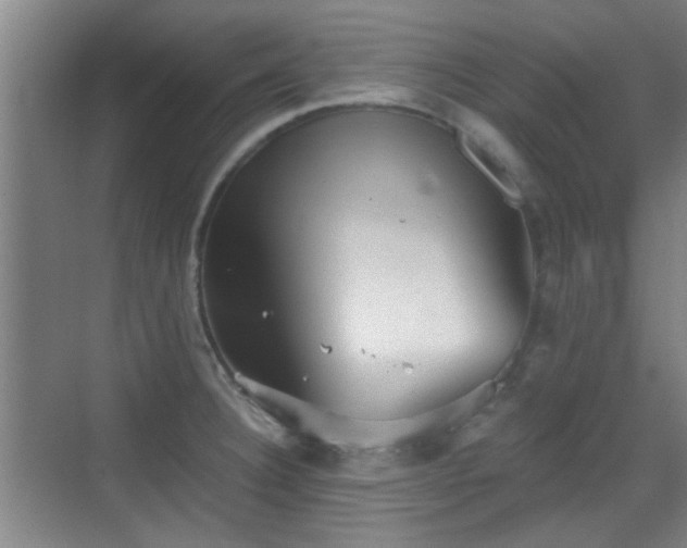 X0000069811332200605221154