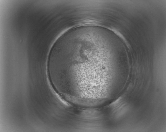 X0000069811333200605221154