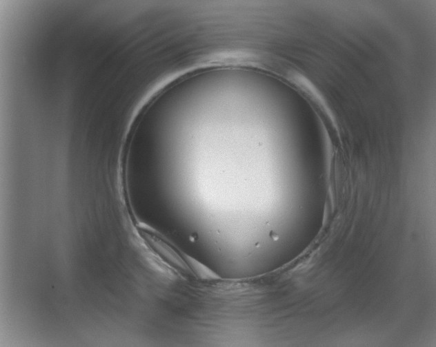 X0000069811336200605221154