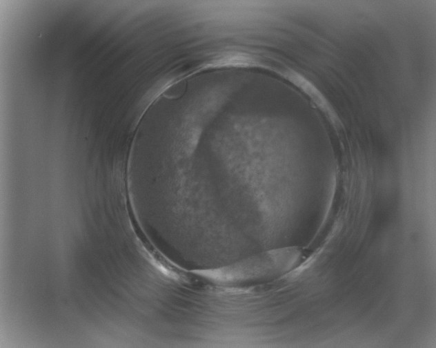 X0000069811337200605221154