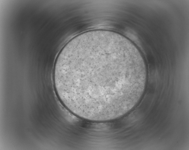 X0000069811338200605221154