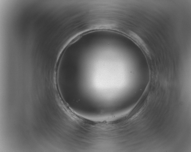 X0000069811340200605221154