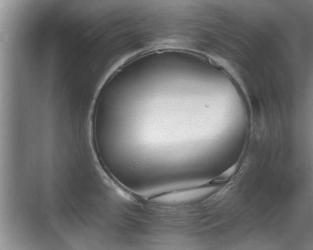 X0000069811341200605221154