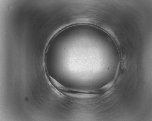 X0000069811342200605221154