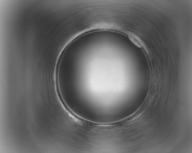 X0000069811343200605221154