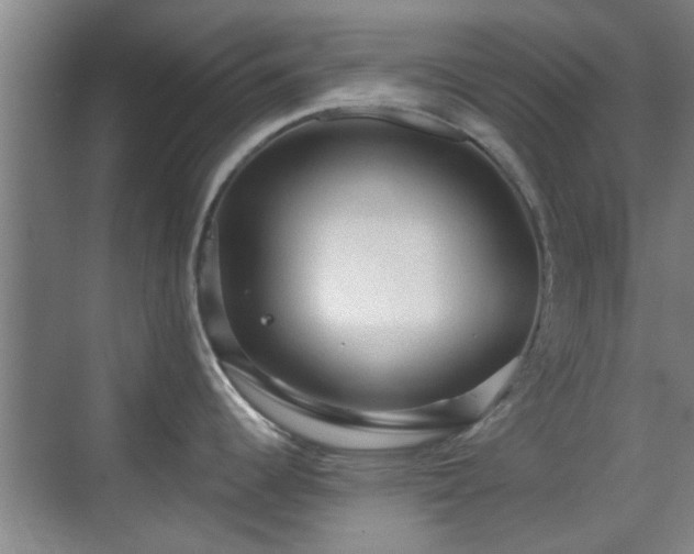 X0000069811344200605221154