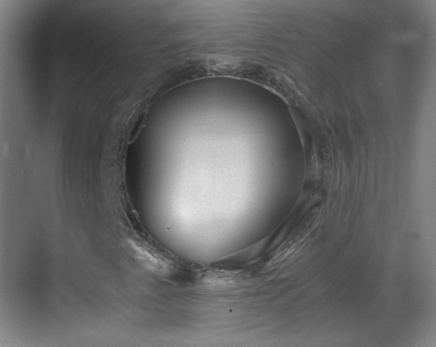 X0000069811345200605221153