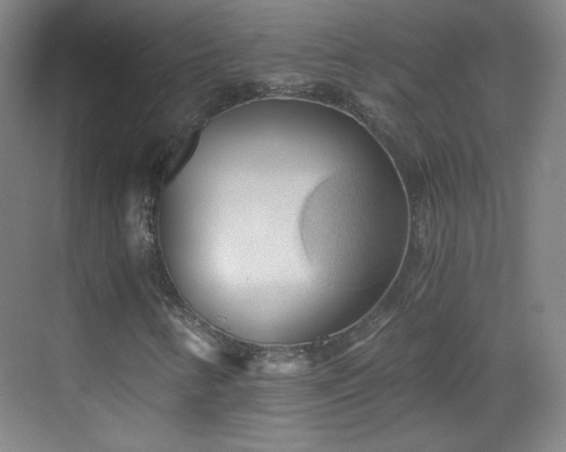 X0000069811346200605221153